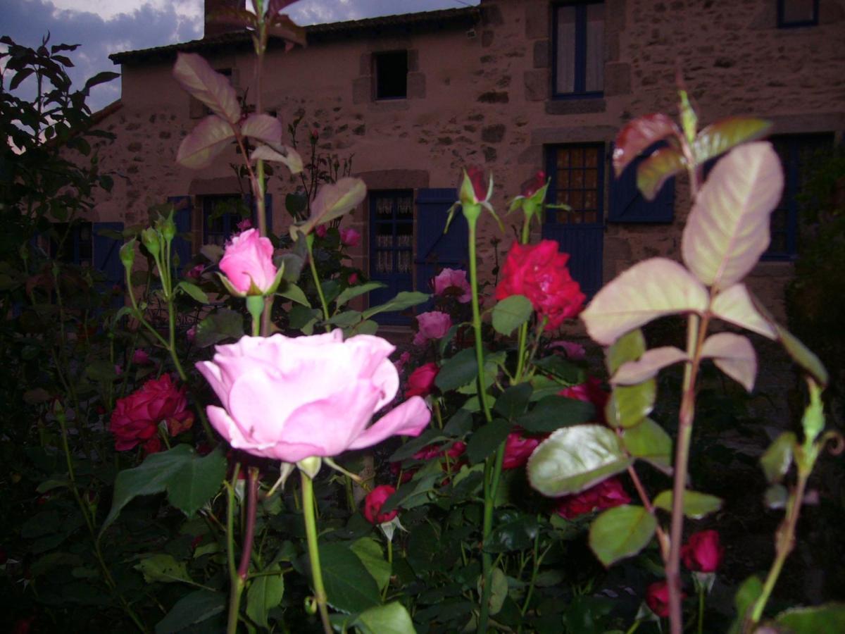 La Petite Vallee La Chapelle-Largeau エクステリア 写真